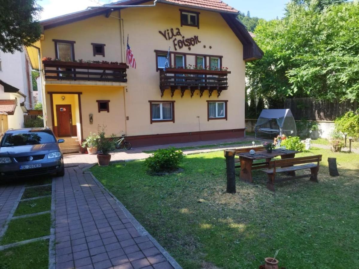 Villa Foisor Buşteni Exterior foto